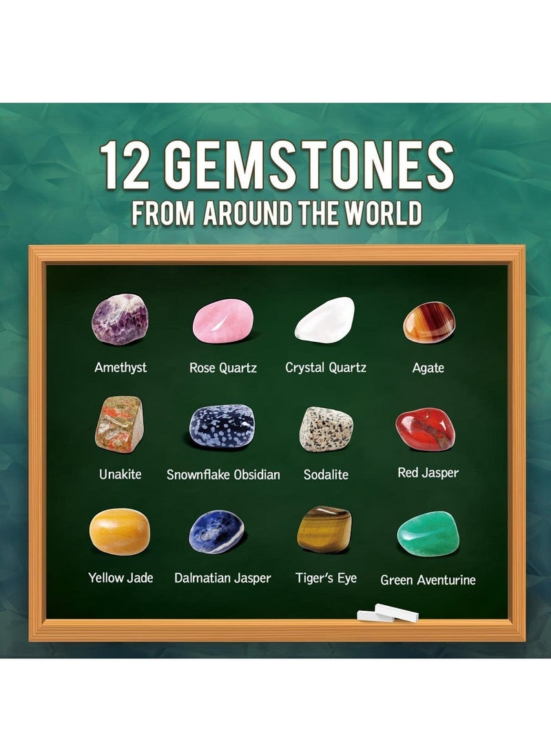 يو كيه آر UKR I Dig Gems مجموعة أدوات التنقيب عن الصخور والأحجار الكريمة مكونة من 12 قطعة | مجموعة الجيولوجيا التعليمية للأطفال من سن 6 إلى 9 سنوات | لعبة ممتعة لاكتشاف الحفريات والمعادن | هدية علمية مثالية للأطفال - Image 4