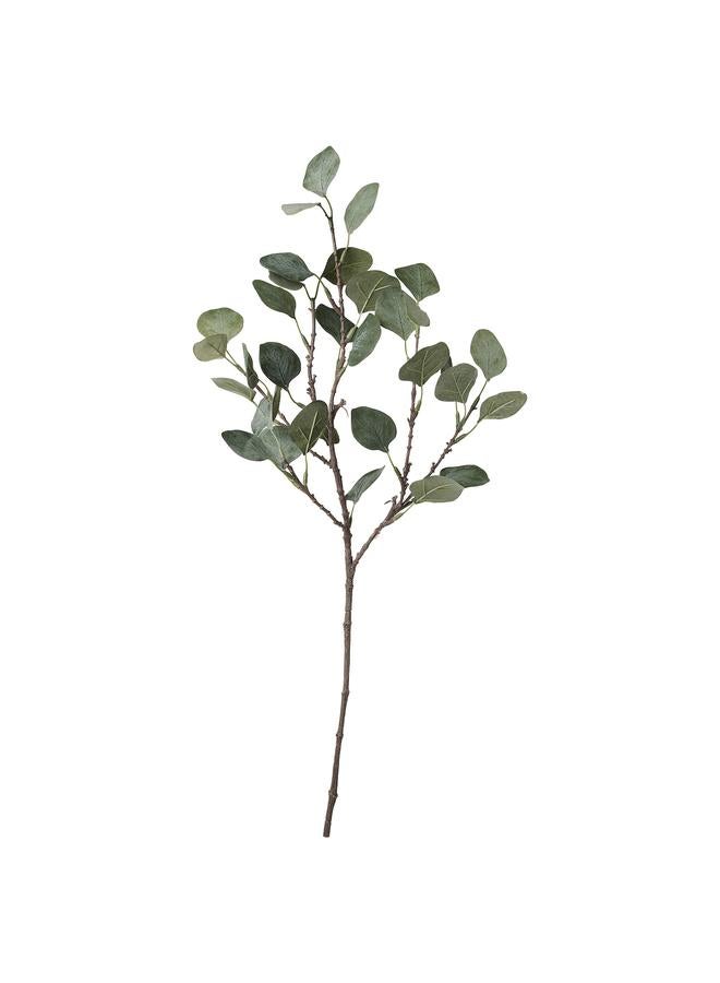 Zaboon Artificial Leaf, Eucalyptus/Green, 65 Cm - Image 1