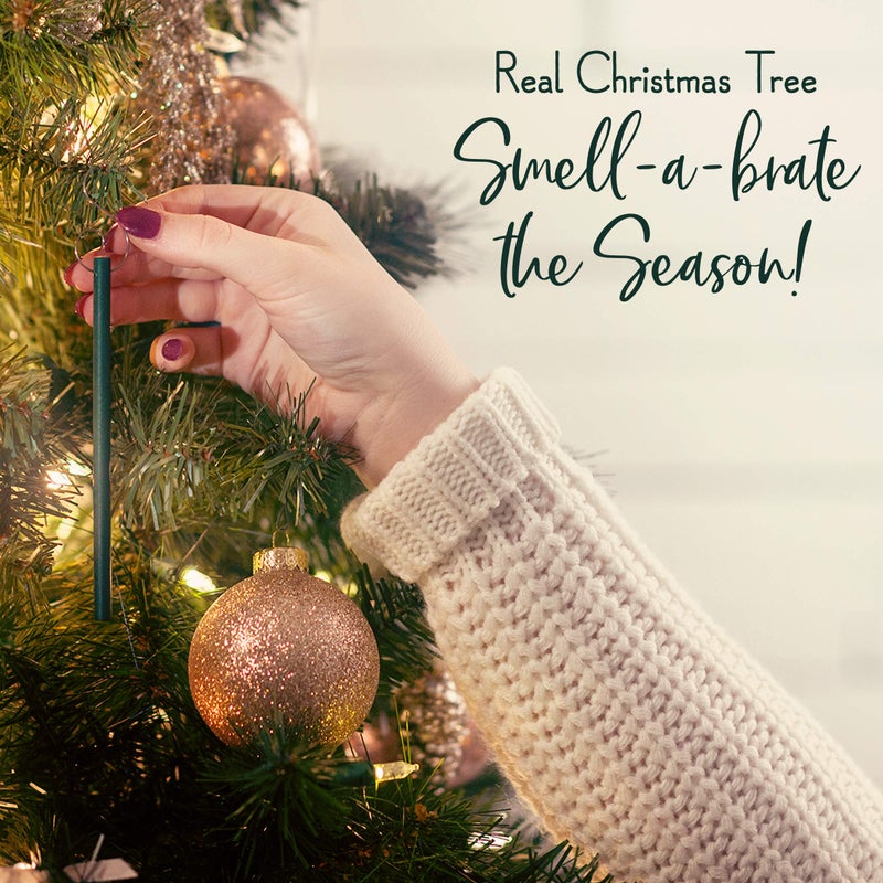 Scentsicles O Christmas Tree Bottle Bundle  Model:01631-001T - Image 5