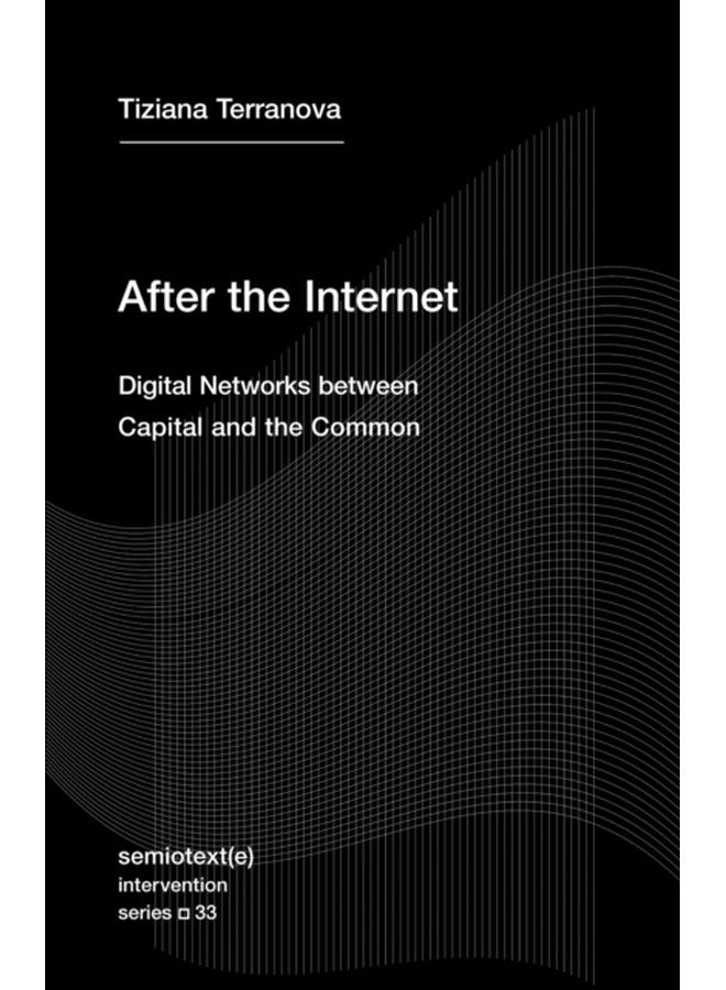 After the Internet Digital Networks between the Capital and the Common - Paperback