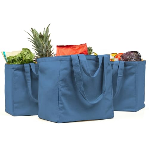 VeraMia Canvas Grocery Bag 3pc Jumbo Set with Real Pockets, Long Shoulder Strap and Short Handle. Reusable Shopping Bags for Groceries Heavy Duty, Foldable, Washable, Grocery Tote Bag (Sky Blue) - Image 1