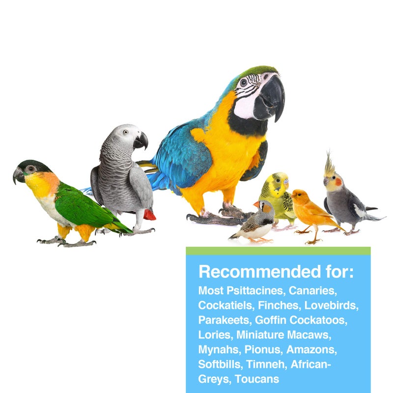 Hari Prime Parrot Vitamin, Mineral and Amino Acid Supplement for Seed Eating Birds, 11.3oz - Image 3