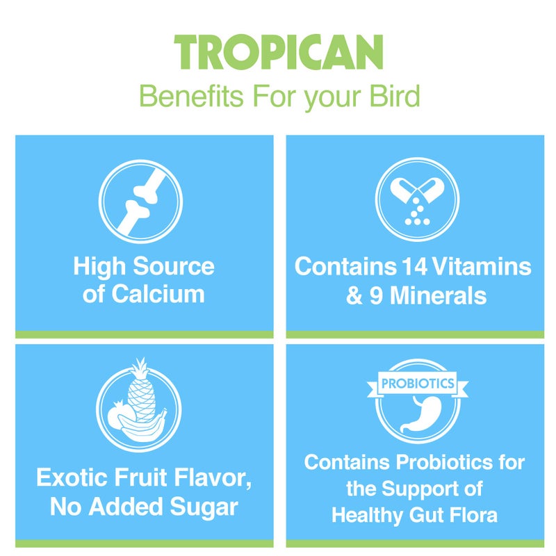 Hari Prime Parrot Vitamin, Mineral and Amino Acid Supplement for Seed Eating Birds, 11.3oz - Image 5