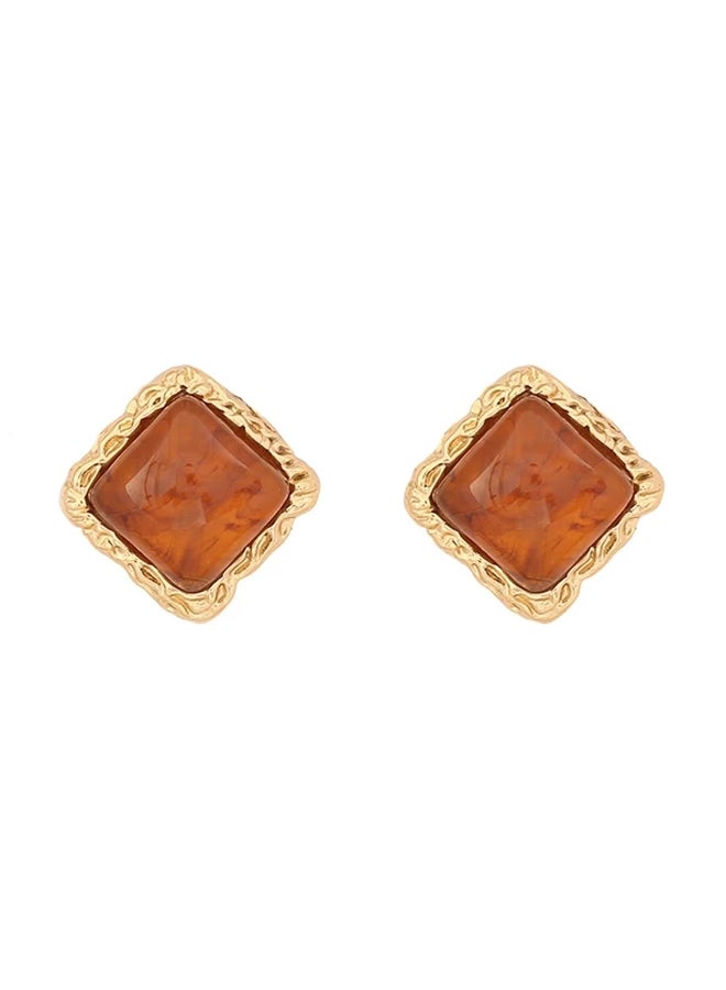 Brown Stone  Stainless Steel Golden Earring