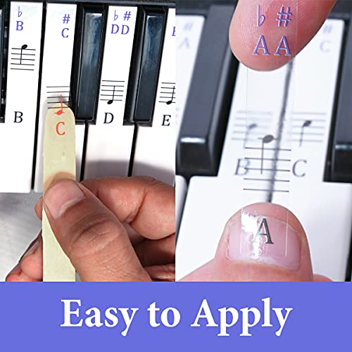 Palap Piano/Keyboard Stickers For Beginners For 49, 61, 76, 88 Key (Piano Stickers) Purple - Image 4