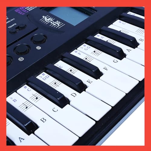 Palap Piano/Keyboard Stickers For Beginners For 49, 61, 76, 88 Key (Piano Stickers) Purple - Image 1