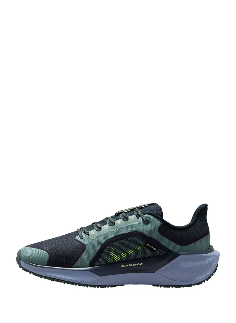 Nike Air Zm Pegasus 41 Gtx