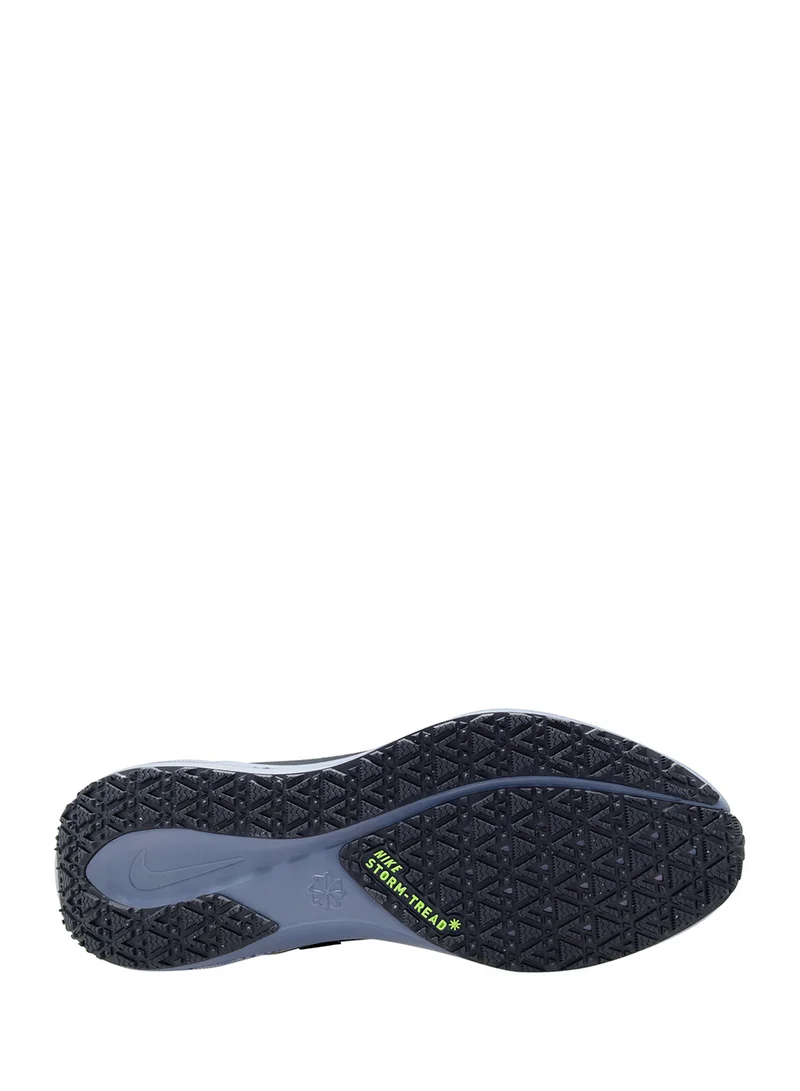 Nike Air Zm Pegasus 41 Gtx