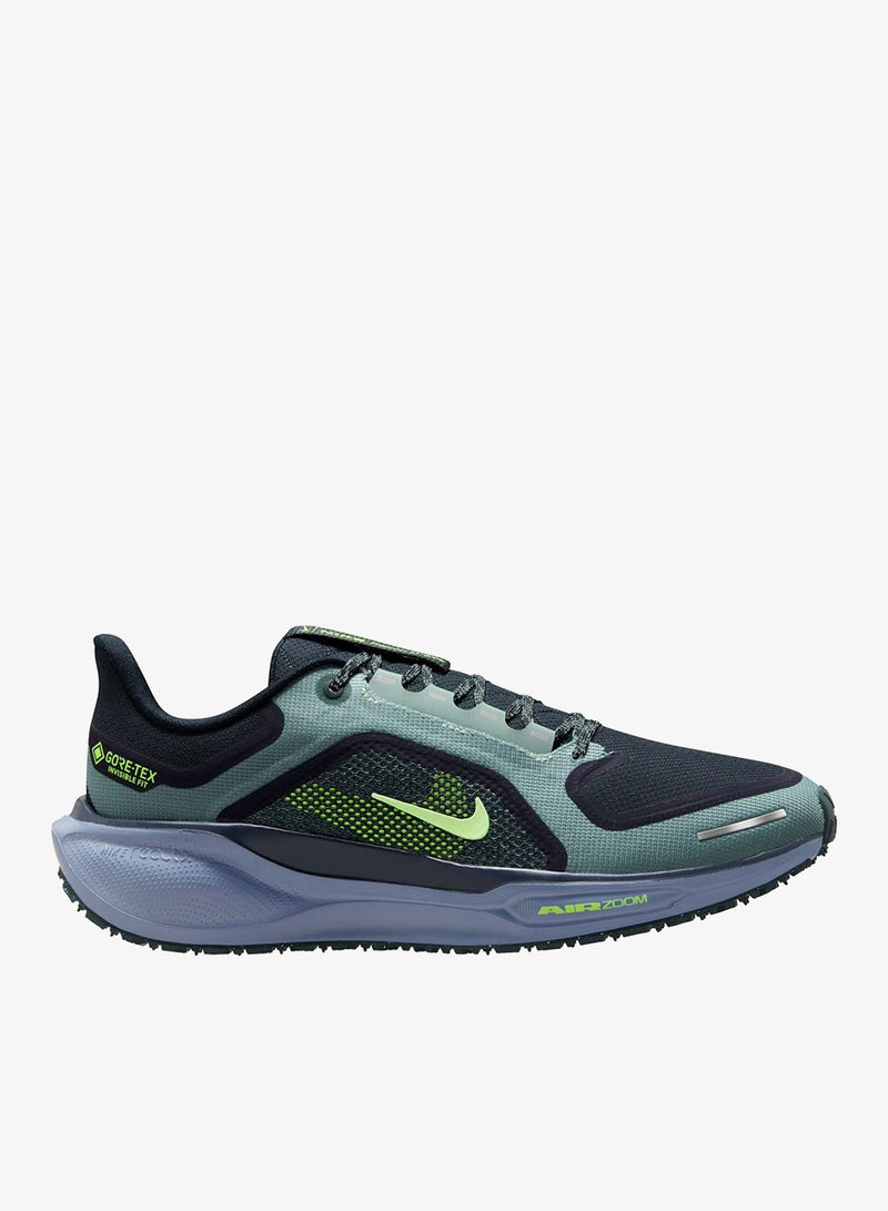 Nike Air Zm Pegasus 41 Gtx - Image 1