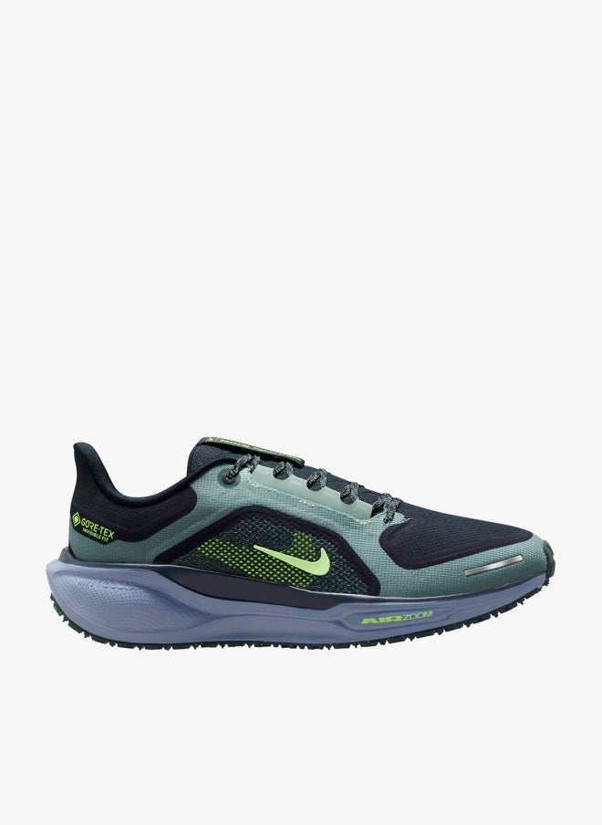 Nike Air Zm Pegasus 41 Gtx - Image 1