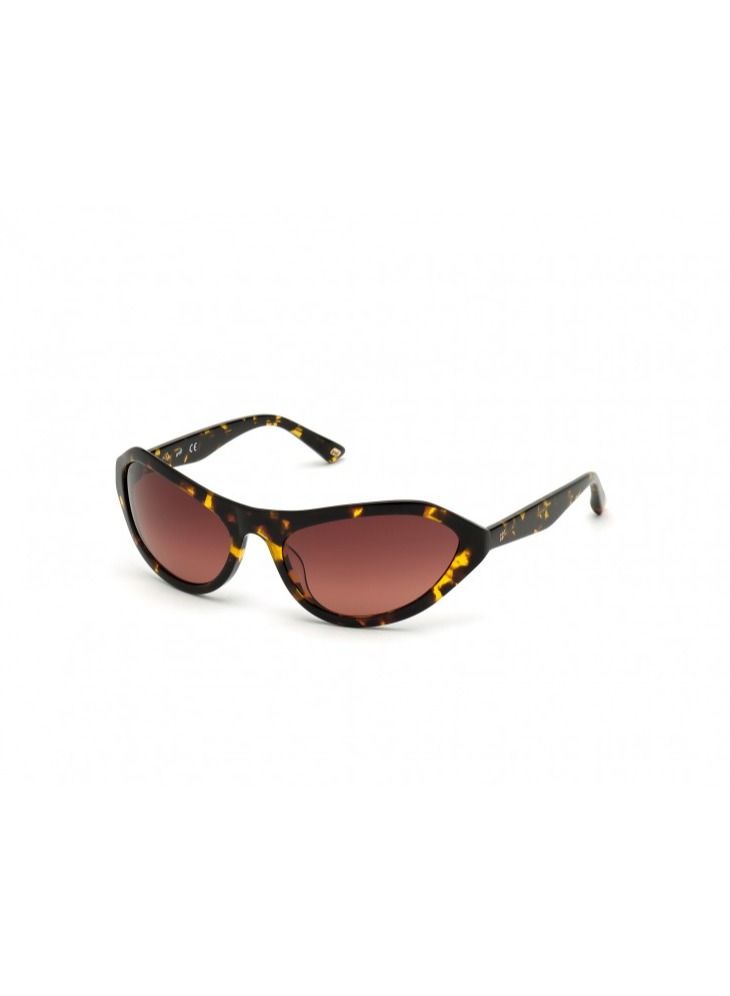 Web Eyewear Dark Havana Womens sunglasses WE0288 - Image 1