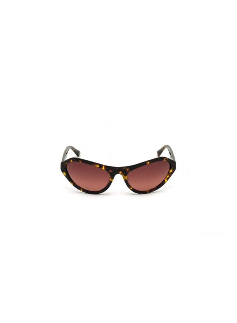 Web Eyewear Dark Havana Womens sunglasses WE0288 - Image 2