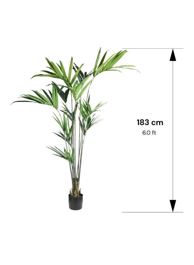 Gulf Flowers Artificial Kentia Palm – 183cm Tall Faux Tree with 129 Leaves – Indoor Decorative Green Palm for Home, Office, Lobby & Event Display – No Maintenance Required
