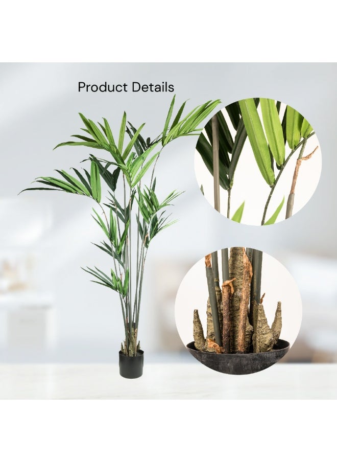 Gulf Flowers Artificial Kentia Palm – 183cm Tall Faux Tree with 129 Leaves – Indoor Decorative Green Palm for Home, Office, Lobby & Event Display – No Maintenance Required