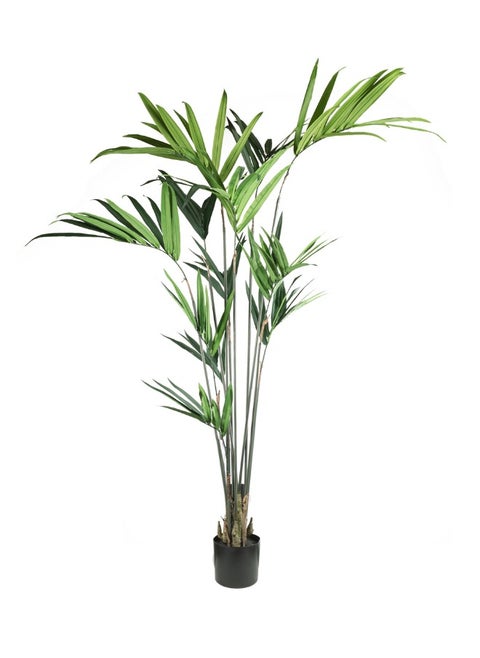 Gulf Flowers Artificial Kentia Palm – 183cm Tall Faux Tree with 129 Leaves – Indoor Decorative Green Palm for Home, Office, Lobby & Event Display – No Maintenance Required