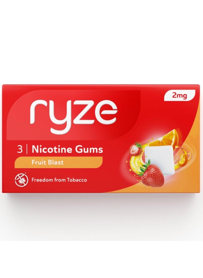 رايز علكة رايز بنكهة الفواكه المنعشة ٢ جم | عبوة اقتصادية من ٣٠ قطعة (٩٠ علكة) | تخلص من التدخين والتبغ | لطيفة على الحلق | معتمدة من إدارة الغذاء والدواء الأمريكية | خالية من السكر | تبييض الأسنان - Image 1