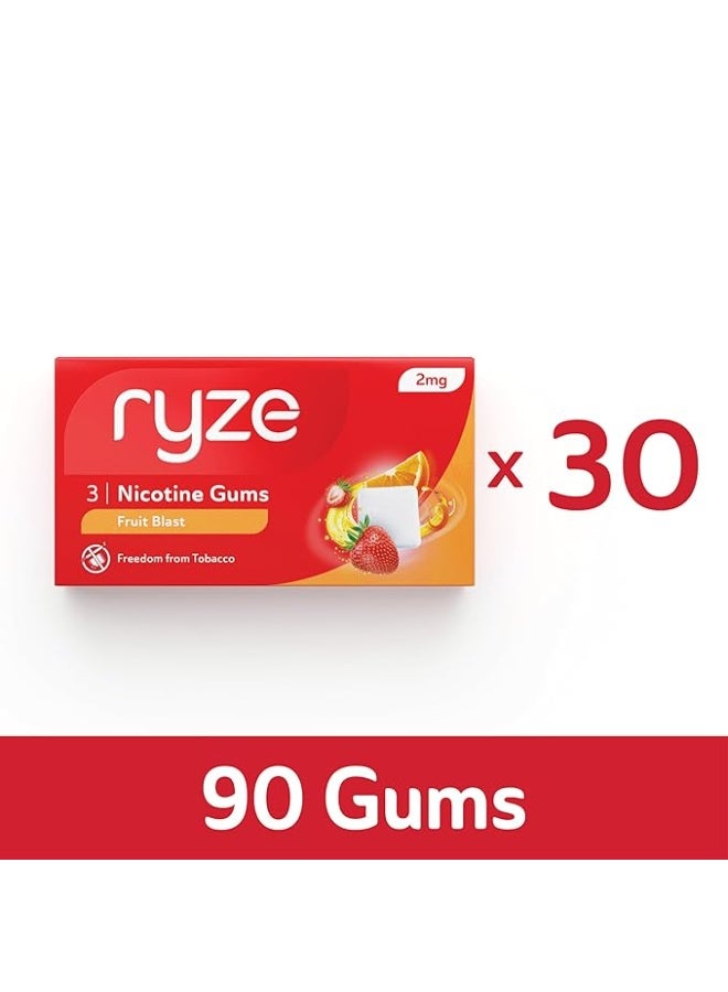 رايز علكة رايز بنكهة الفواكه المنعشة ٢ جم | عبوة اقتصادية من ٣٠ قطعة (٩٠ علكة) | تخلص من التدخين والتبغ | لطيفة على الحلق | معتمدة من إدارة الغذاء والدواء الأمريكية | خالية من السكر | تبييض الأسنان - Image 4