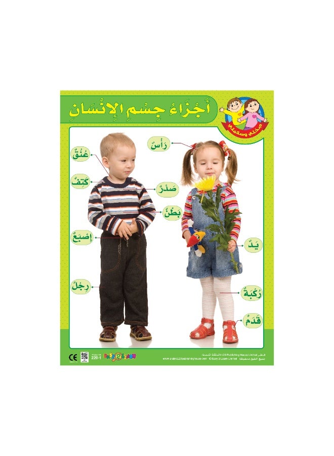 123 ببلشينج هاوس أجزاء جسم الإنسان - لوحة تعليمية باللغة العربية - Image 1