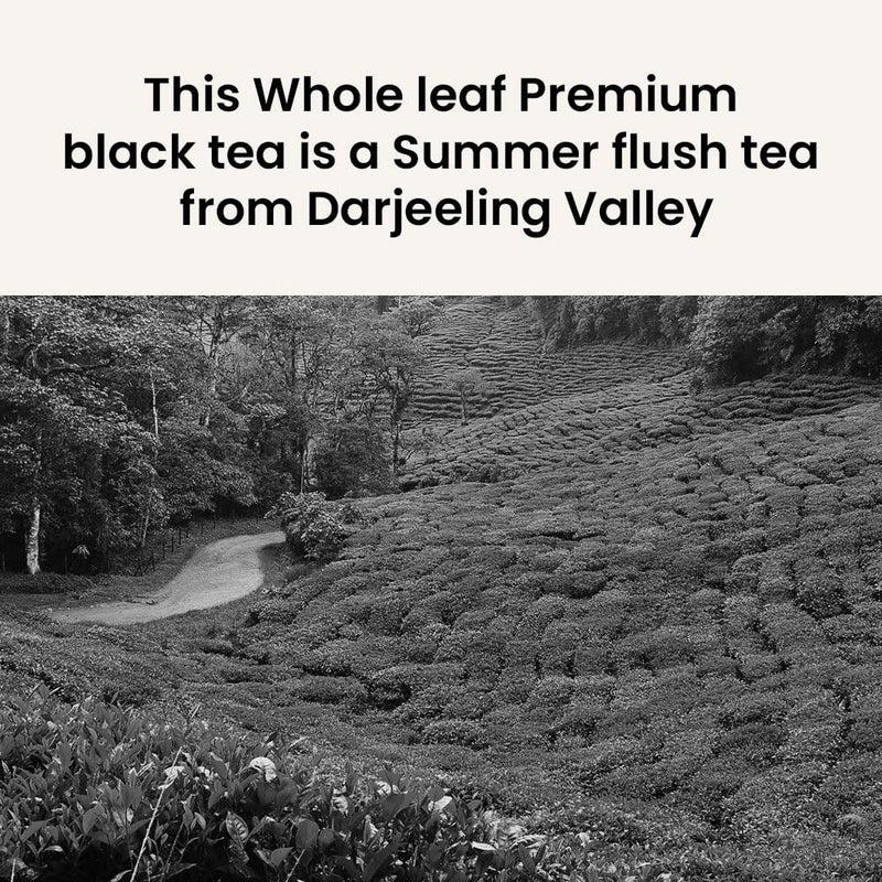 Chaiom - Retro Tea Culture 420g | Tea Gift boxes Combo 3 Exclusive Pack Of Darjeeling Tea, Assam Tea, English Breakfast Tea | Traditional chai tea | 60 Cup Tea - Image 4