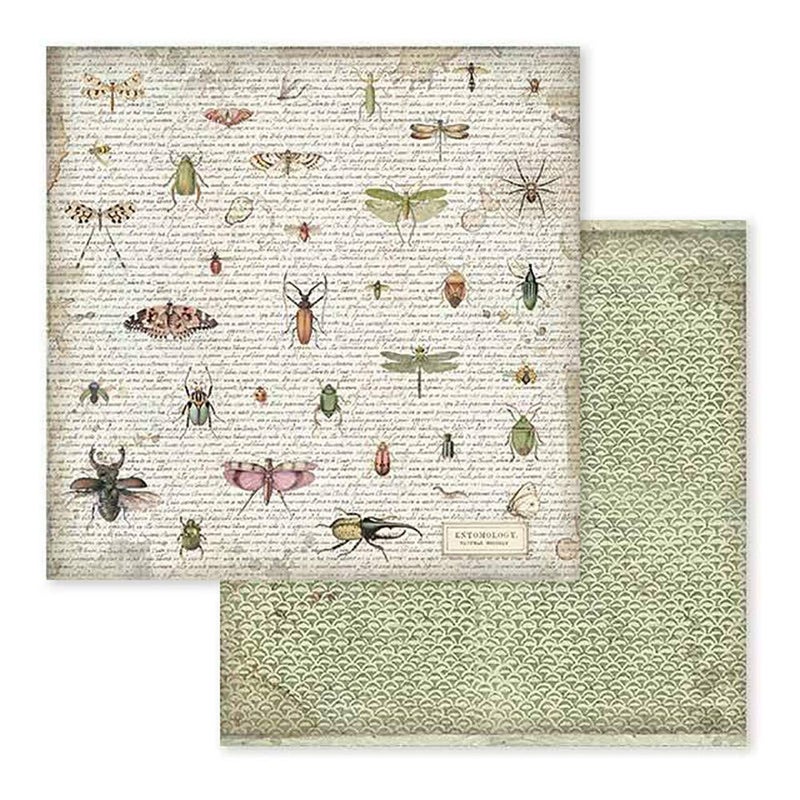Stamperia Intl Scrapbooking Paper, Multi-Colored 10 Pack - Image 3