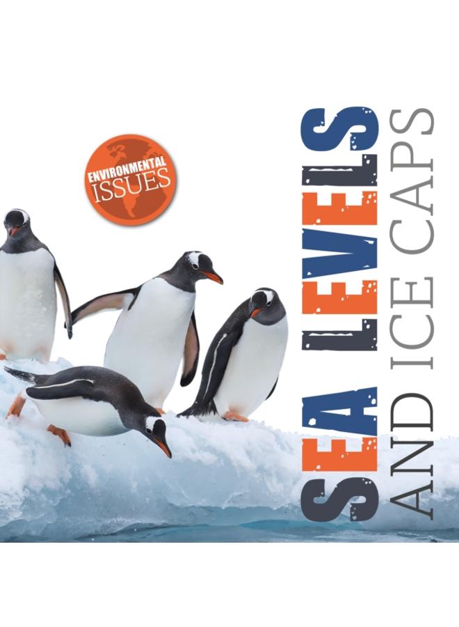 Sea Levels and Ice Caps 