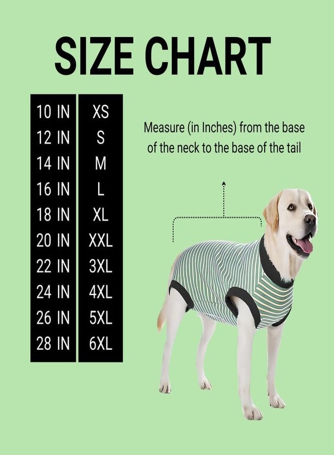 Pets Empire Cozy Winter Dog Sweater (14-Inch), Green | Snug Knitted Warmth | Comfortable & Stretchable | Perfect for Active Medium Dogs - Image 5