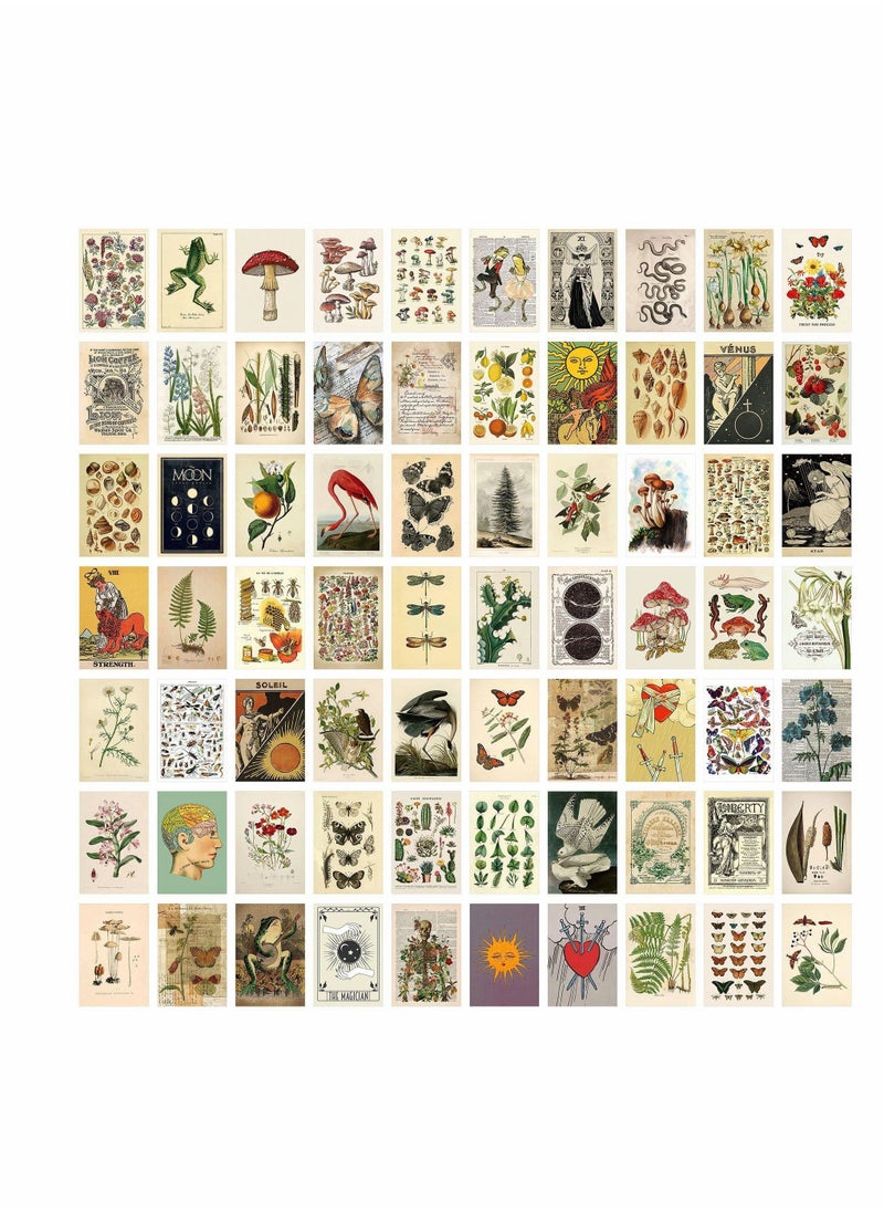 KASTWAVE - Vintage Wall Collage Kit Aesthetic Pictures, 70PCS Posters for Room Aesthetic, Cute Dorm Photo Wall Decor for Teen Girls, Botanical Wall Art, Printed Wall Sticker Decorative Aesthetics Warm Beige Card - Image 1