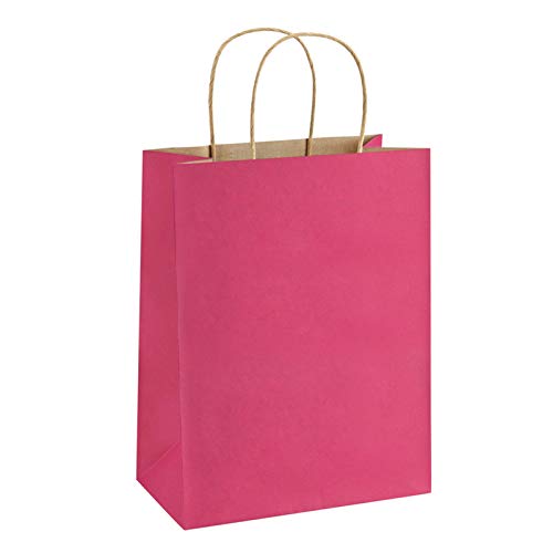BagDream Hot Pink Gift Bags 8x425x105 100Pcs Paper Bags Paper Gift Bags with Handles Paper Shopping Bags Kraft Bags Party Bags Retail Merchandise Bags
