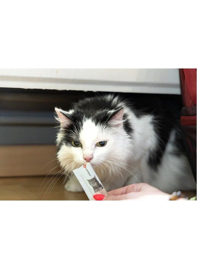 Flamingo Deli Yumm Fresh Meat Snack Chicken Cat Treats - 70GM - Image 2