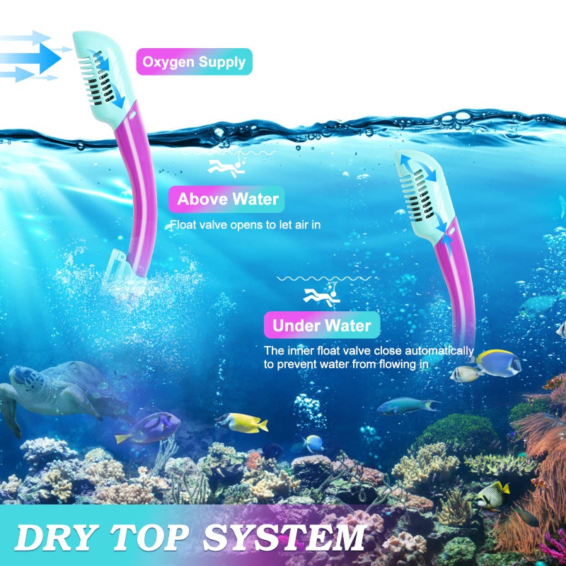 ACQCES Snorkeling Gear for Kids Ages 5-15, 4 in 1 Mask Fins Snorkel Set with HD Tempered Glass Panoramic View Anti-Fog Mask, Dry Top Snorkel, Adjustable Trek Fins, and Mesh Bag, Kids Snorkel Set for Youth - Image 4
