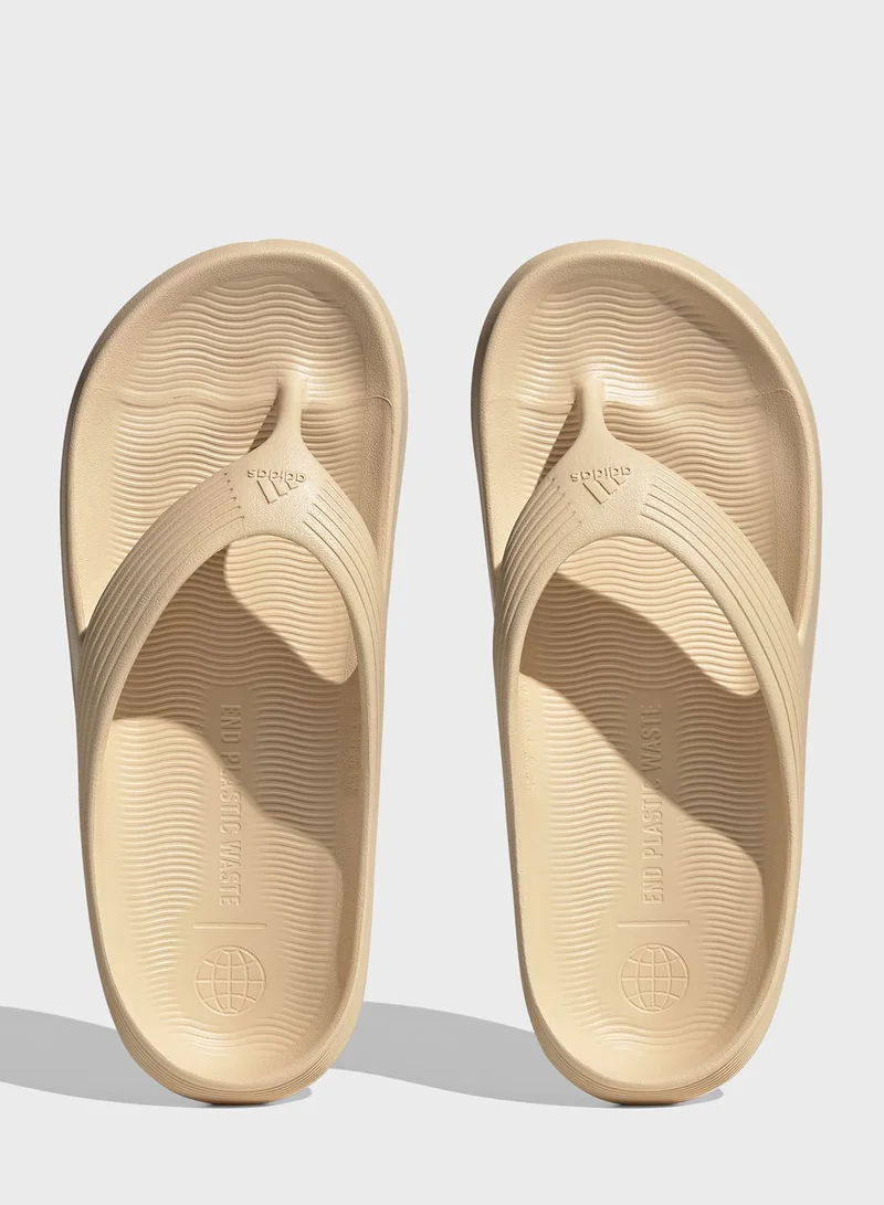 Adidas Adicane Flip Flop