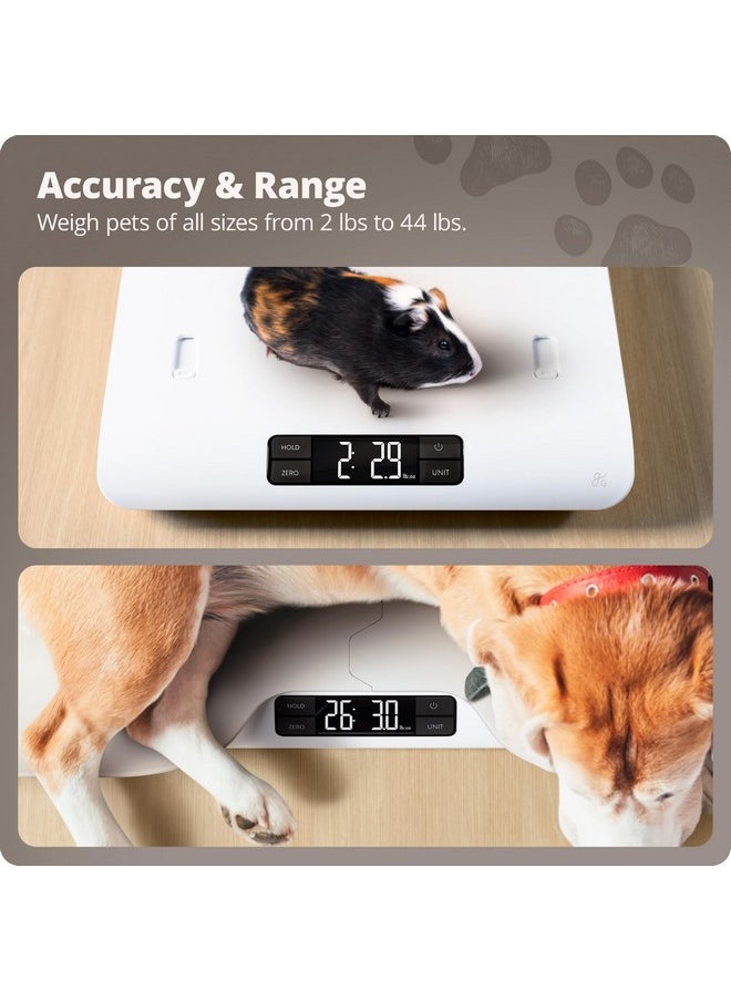 Greater Goods - Greater Goods Digital Pet Scale, Accurately Weigh Your Kitten, Rabbit, or Puppy with a Wiggle-Proof Algorithm, Great Option as a Scale for Small Animals, Designed in St. Louis - Image 1