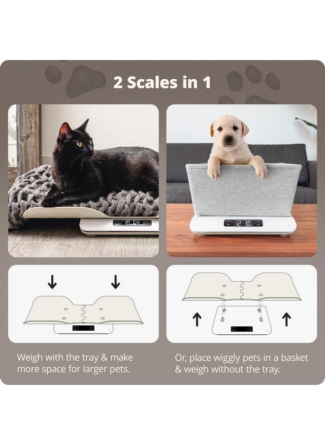 Greater Goods - Greater Goods Digital Pet Scale, Accurately Weigh Your Kitten, Rabbit, or Puppy with a Wiggle-Proof Algorithm, Great Option as a Scale for Small Animals, Designed in St. Louis - Image 1