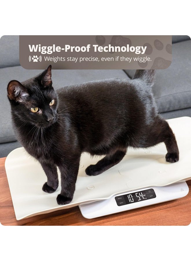 Greater Goods - Greater Goods Digital Pet Scale, Accurately Weigh Your Kitten, Rabbit, or Puppy with a Wiggle-Proof Algorithm, Great Option as a Scale for Small Animals, Designed in St. Louis - Image 1