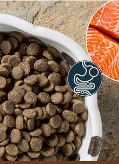 Taste of the Wild Taste of the wild Pacific Stream Canine Recipe 2KG  - Image 2