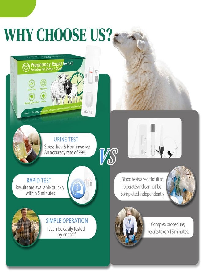 10-Pack Sheep & Goat Early Pregnancy Test - Detect Pregnancy in 5-10 Minutes with Urine, Easy Home Breeding Confirmation Kit for Accurate Livestock Management - Image 4