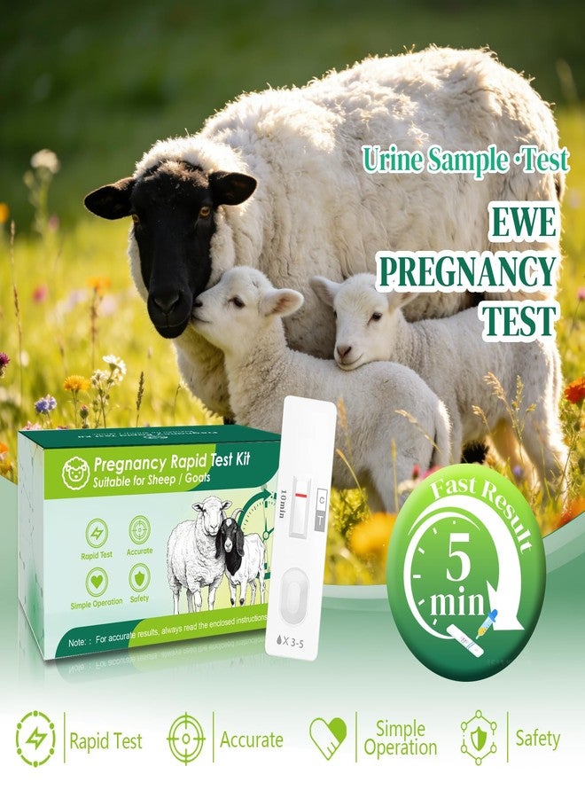 10-Pack Sheep & Goat Early Pregnancy Test - Detect Pregnancy in 5-10 Minutes with Urine, Easy Home Breeding Confirmation Kit for Accurate Livestock Management - Image 2