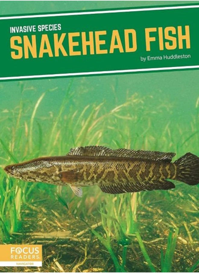 Invasive Species: Snakehead Fish 