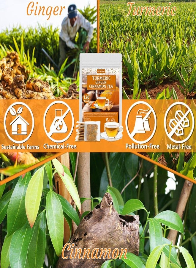 ULTHMOK 120 Premium Turmeric, Ginger, Cinnamon Blend Tea Bags, 100% Natural & No Additives & Caffeine Free. - Image 4