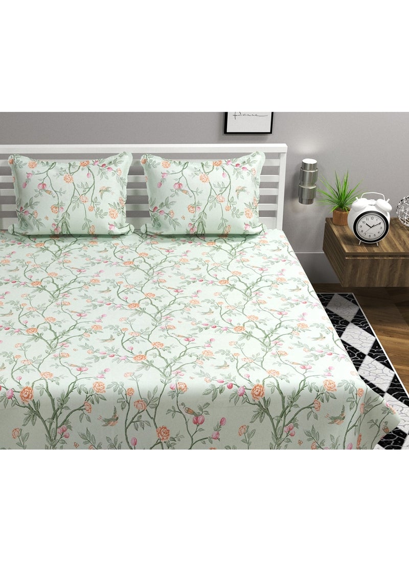 BSB Premium Glace Cotton King Bed Sheets with 2 King Pillowcases by Kingston | Luxurious Soft Sheets (3 Piece Set, 275 X 275 CM Flat sheet, 50 X 75 CM Pillow Covers, Light Green)  - Image 1