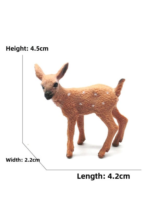 Animal Model Special For Teaching And Education Animal Model Kangaroo Elephant Lion Tiger Deer Ostrich Wolf-Color:4040 Small White-tailed Deer (7g)  - Image 1