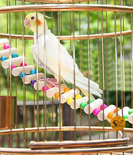 Sage Square Bird Cage Hanging Ladder 48cm - Step Up Your Bird's Fun & Training with This Natural Wooden Rainbow Ladder & Decorative Accessory, Vibrant Wooden Rainbow Ladder and Training Aid - Image 1