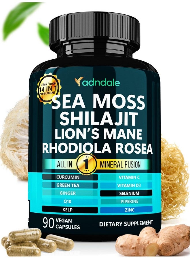 Adndale كبسولات أنديل البحر مع فطر الأسد، روديولا روزيا، شيلاجيت لدعم الطاقة والتركيز والمناعة للنساء والرجال - 90 حبة - Image 1