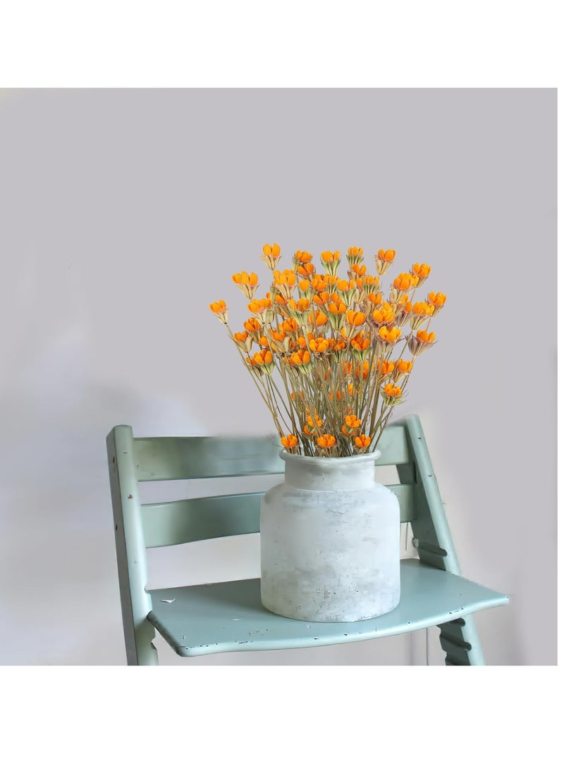 Generic 2 Pcs Dried Craspedia Billy Balls Bouquet - Artificial Pistachio Orange Floral Arrangements for Home, Farmhouse Table Vase Filler, Party, and Fall Decor. - Image 4