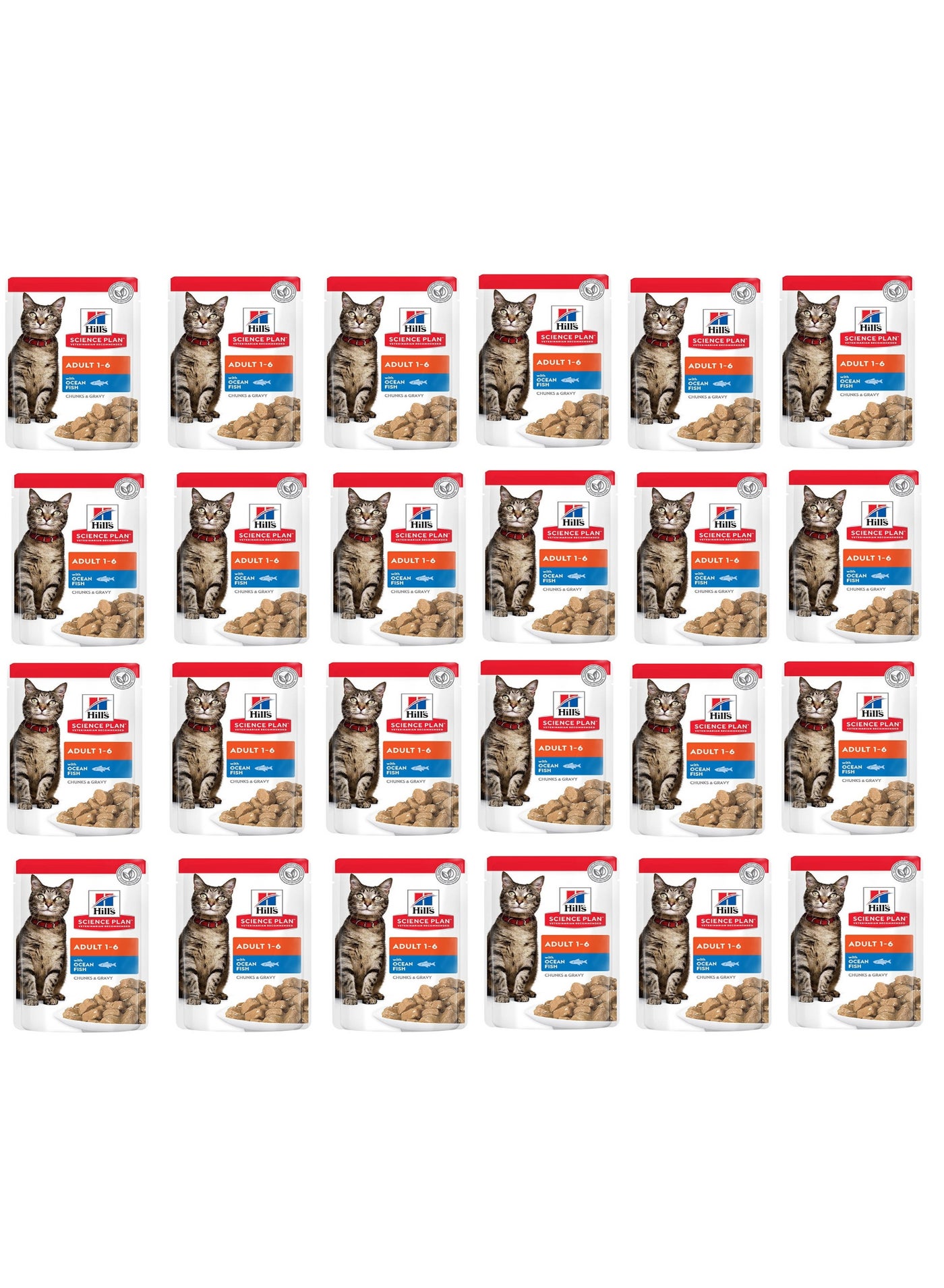 Hill's Science Plan Adult Wet Cat Food Ocean Fish Pouches (85g x 24 Pcs ) - 2 Box