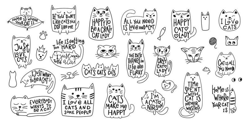5 Ace happy cat lady Sticker Poster|Love Poster|Valentine Poster|size:12x18 inch,multicolor - Image 5
