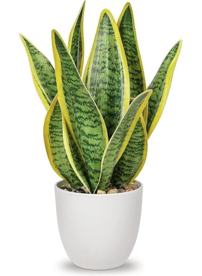 Snake Plant (Sansevieria) in Black Pot, Indoor Houseplant, Yellow-Edged Green Leaves - Image 4