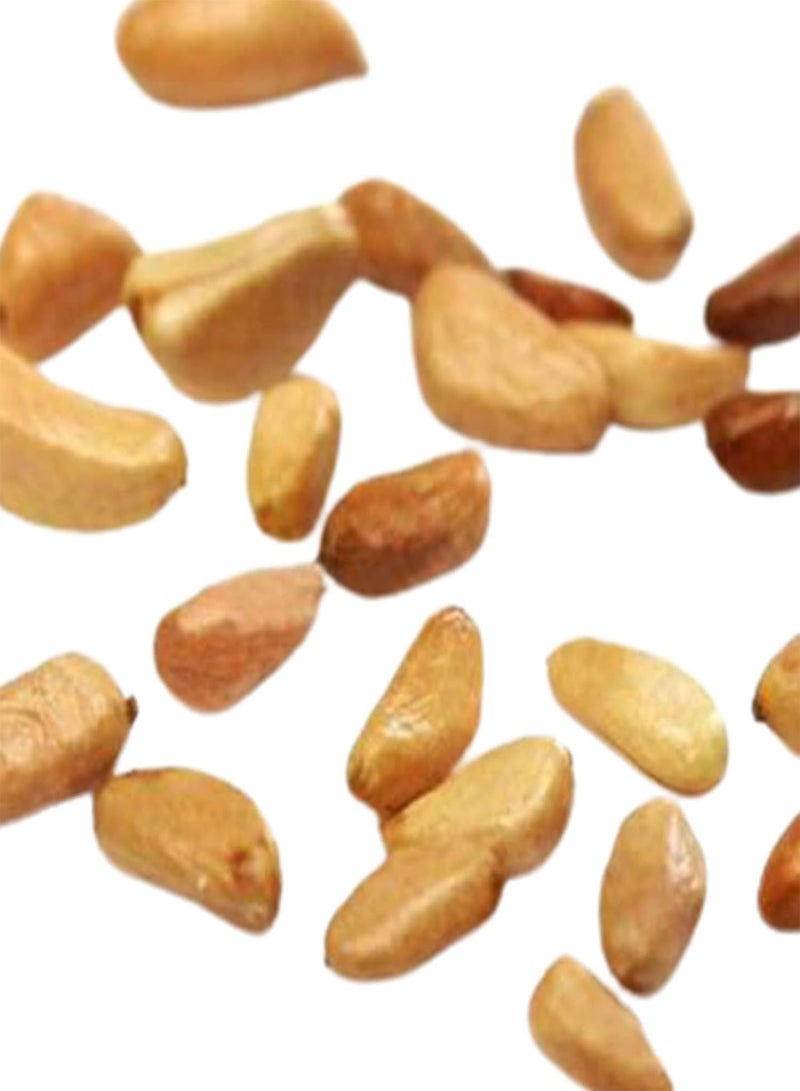 جي جوت 100 قطعة من بذور زهرة الورد الطبيعية سريعة النمو، مزيج من الألوان، سهلة النمو، بذور نباتات للزراعة في الحديقة أو الفناء أو الهواء الطلق - مزيج من الألوان - Image 2