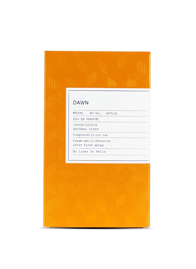 Linea De Bella Perfume Collection Dawn 100 ml Luxury Perfume for Men | Long-Lasting Fresh & Woody Fragrance with Citrusy and Earthy Notes  - Image 4