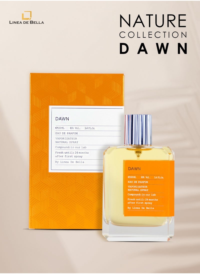 Linea De Bella Perfume Collection Dawn 100 ml Luxury Perfume for Men | Long-Lasting Fresh & Woody Fragrance with Citrusy and Earthy Notes  - Image 3